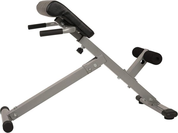 Sunny Health & Fitness Foldable Hyperextension Roman Chair w...