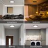Matane Flush Mount Ceiling Light Fixture with Remote Control...