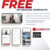 Sunny Health & Fitness Elite Recumbent Cross Trainer & Ellip...
