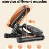 Niceday Twist Stepper for Exercise at Home, Mini Stair Stepp...
