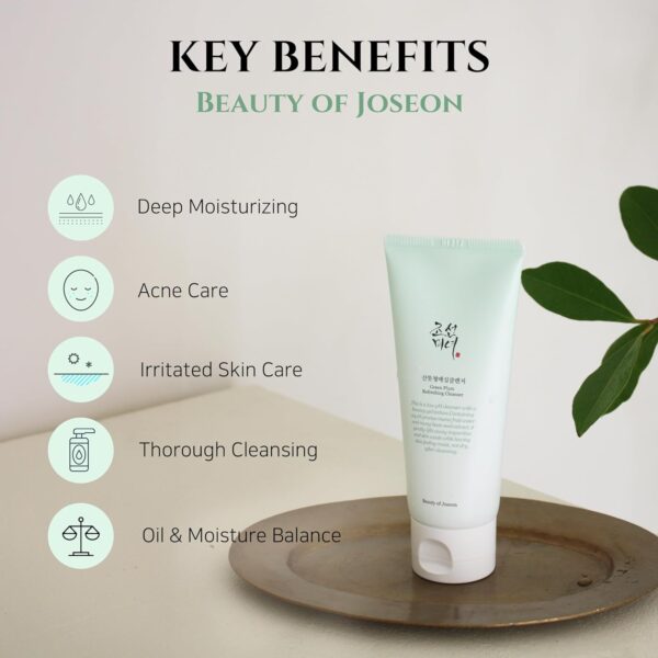 Beauty of Joseon Green Plum Refreshing Cleanser Gel Type Dee...