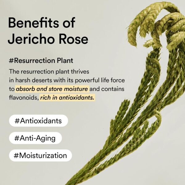 Abib Collagen Eye Patch Jericho Rose Jelly 60 Patches, Korea...
