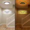 Matane Flush Mount Ceiling Light Fixture with Remote Control...