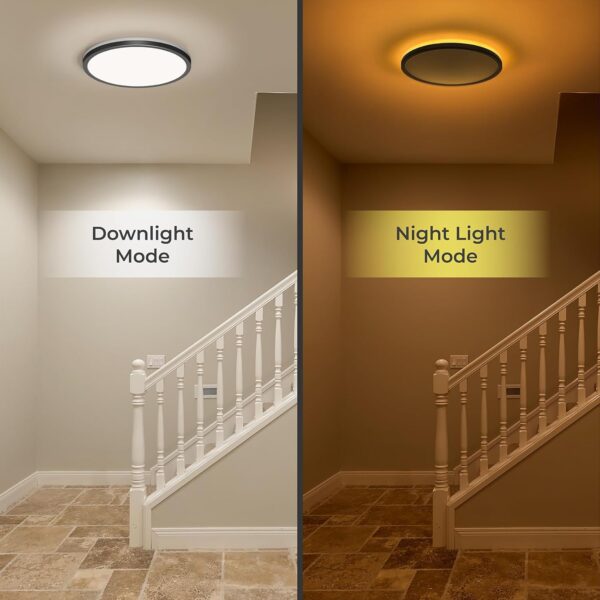 Matane Flush Mount Ceiling Light Fixture with Remote Control...