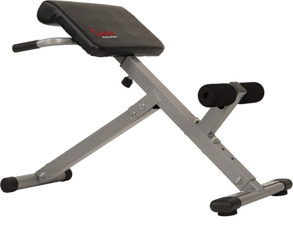 Sunny Health & Fitness Foldable Hyperextension Roman Chair w...