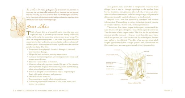 Organic Body Care Recipes: 175 Homemade Herbal Formulas for ...