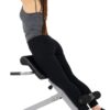Sunny Health & Fitness Foldable Hyperextension Roman Chair w...