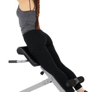 Sunny Health & Fitness Foldable Hyperextension Roman Chair w...