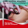 cleaings® Mini Brushes-Disposable Toothbrushes with Toothpas...