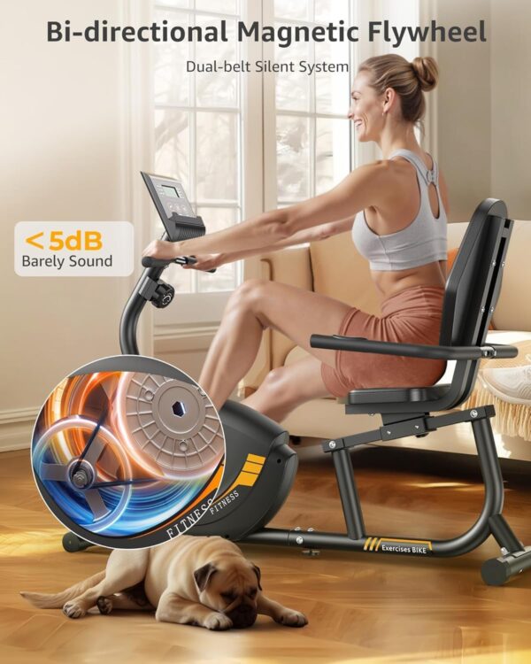 JEEKEE Recumbent Exercise Bike for Seniors,Stationary Bikes ...