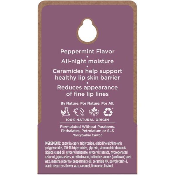 Burt's Bees Original Overnight Intensive Lip Treatment, Mois...