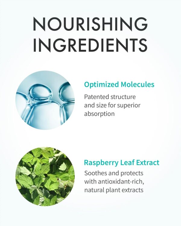 REJURAN® Turnover Ampoule, c-PDRN® – Original Salmon DNA PDR...