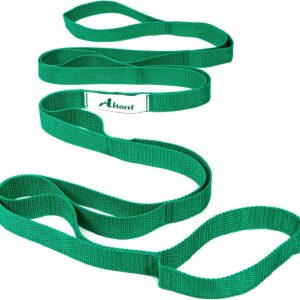 Stretching Strap Yoga Straps for Physical Therapy, 10 Loops ...