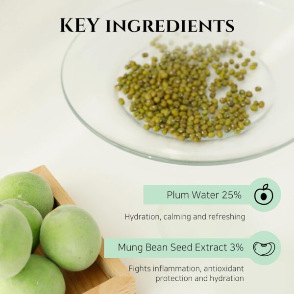 Beauty of Joseon Green Plum Refreshing Cleanser Gel Type Dee...