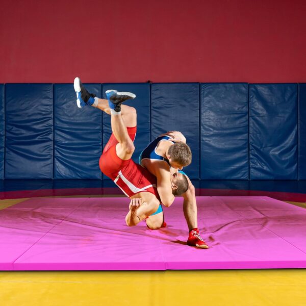 BalanceFrom Folding Gymnastics Mat, Thick Home Gym Floor Tum...