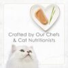 Purina Fancy Feast Gourmet Wet Cat Food Variety Pack, Petite...