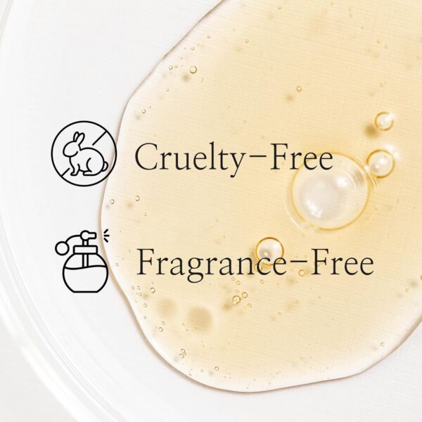 Beauty of Joseon Revive Snail Mucin Ginseng Serum Hydrating ...