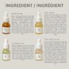 Beauty of Joseon Hanbang Serum Discovery Kit Gift Set Moistu...