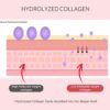 Multi Collagen Balm Stick Reduce Wrinkle All-in-one Hydratin...