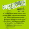 SuckerPunch Classic Dill Pickle Chips, Snack Pack, Gluten Fr...