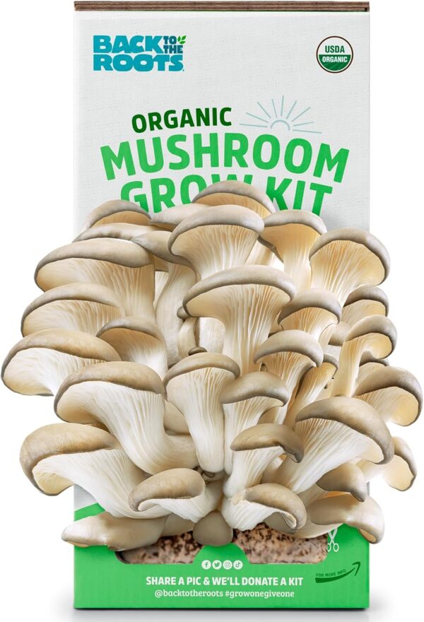 Back to the Roots Organic Oyster Mushroom Grow Kit, Harvest ...