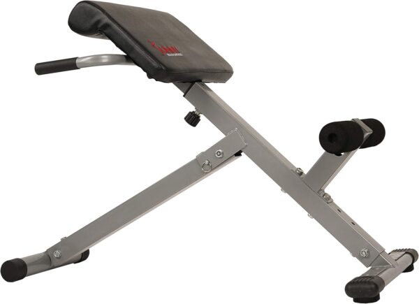 Sunny Health & Fitness Foldable Hyperextension Roman Chair w...