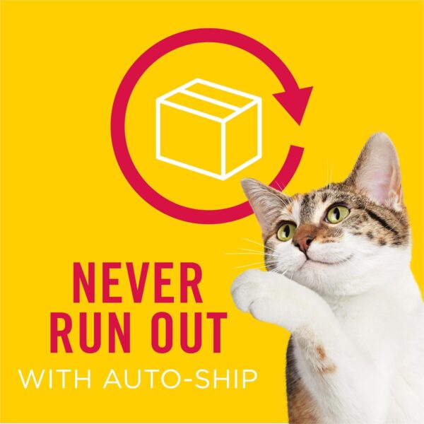 Purina Friskies Wet Cat Food, Meaty Bits Gourmet Grill in Gr...