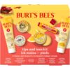 Burt's Bees Gifts Ideas, Tips and Toes Kit, 6 Travel Size Pr...