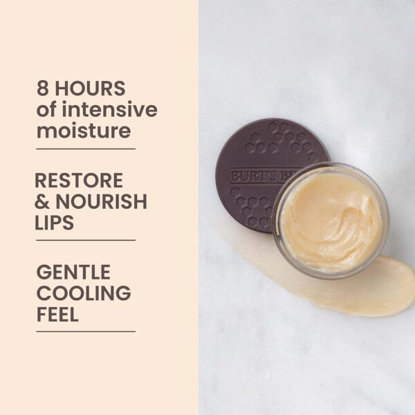 Burt's Bees Original Overnight Intensive Lip Treatment, Mois...