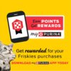 Purina Friskies Wet Cat Food, Meaty Bits Gourmet Grill in Gr...