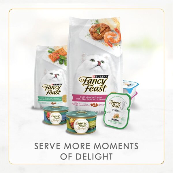 Purina Fancy Feast Gravy Lovers Beef Feast Grilled Gourmet C...