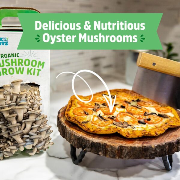 Back to the Roots Organic Oyster Mushroom Grow Kit, Harvest ...