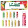 DMSKY 12 Pack Lip Balm, Natural Lip Balm Bulk with Vitamin E...