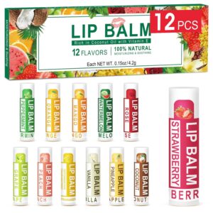 DMSKY 12 Pack Lip Balm, Natural Lip Balm Bulk with Vitamin E...