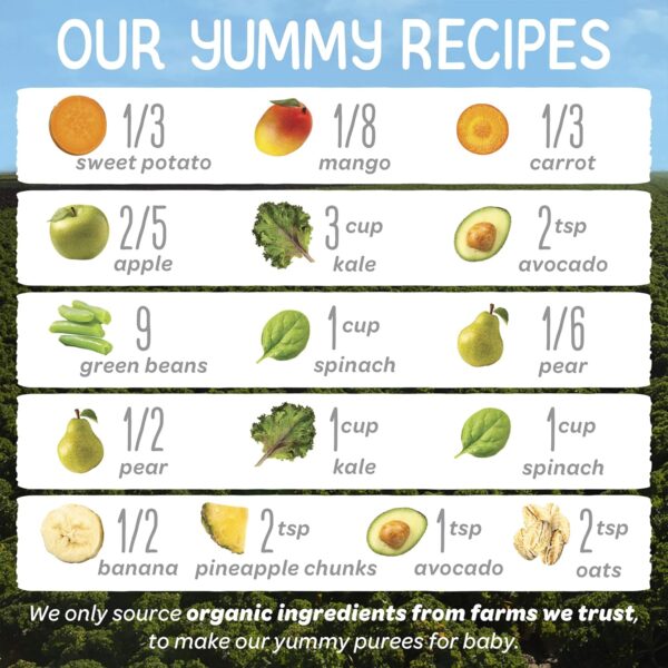 Happy Baby Organics Stage 2 Baby Food Pouches, Gluten Free, ...