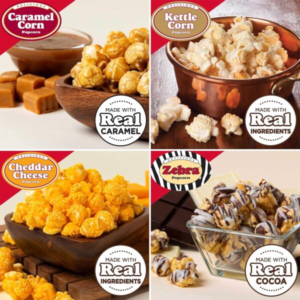 Popcornopolis Gourmet Popcorn Cone Variety Pack – Zebra, Che...