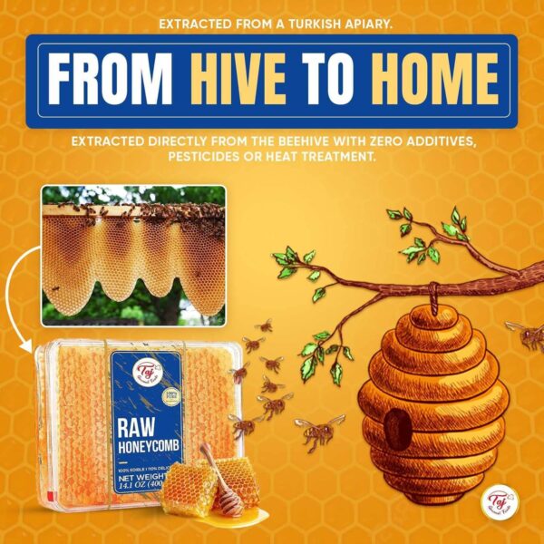 Taj Gourmet All Natural Raw Honeycomb 100% Honey Pure Turkis...
