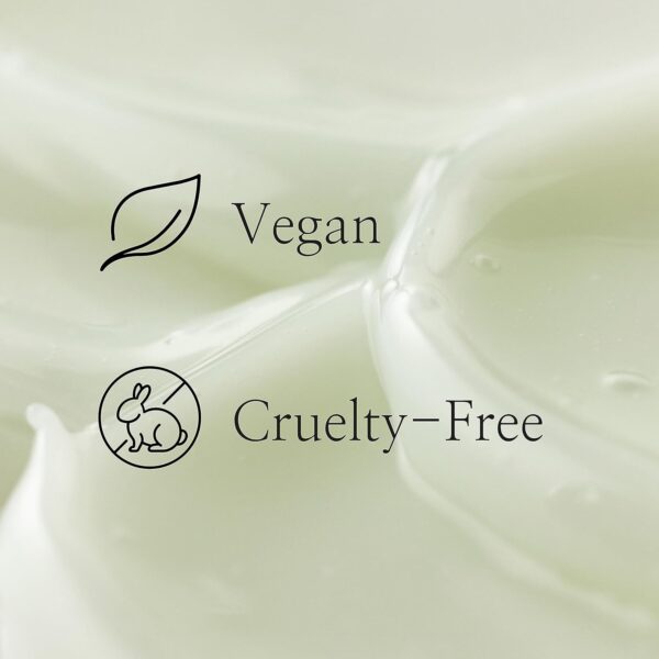 Beauty of Joseon Light On Serum Vitamin C Centella Dark Spot...