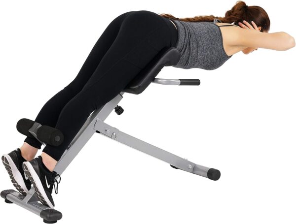 Sunny Health & Fitness Foldable Hyperextension Roman Chair w...