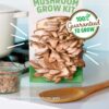 Back to the Roots Organic Oyster Mushroom Grow Kit, Harvest ...