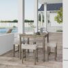 5-Piece Counter Dinner Height Table Set, Indoor Modern Recta...