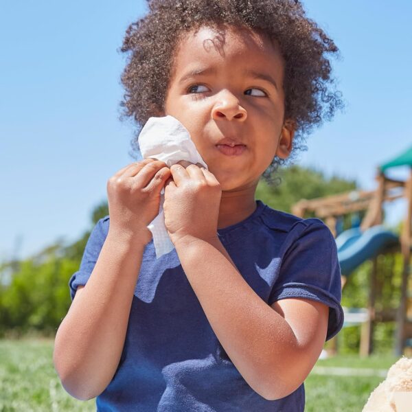 The Honest Company Calm + Cleanse Naturally Scented Wipes | ...