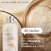 The Face Shop Rice Ceramide Moisturizing Emulsion - Rice Ext...