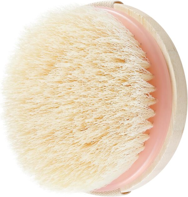 EcoTools Dry Body Brush, Cruelty-Free Bristles Exfoliate & S...