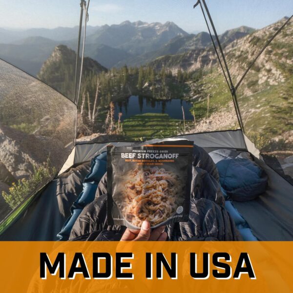 Peak Refuel Beef Stroganoff | Freeze Dried Backpacking and C...