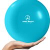 ProBody Pilates Ball 9 Inch - Small Exercise Ball for Stabil...