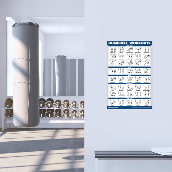 Palace Learning Dumbbell Workout Exercise Poster - Free Weig...
