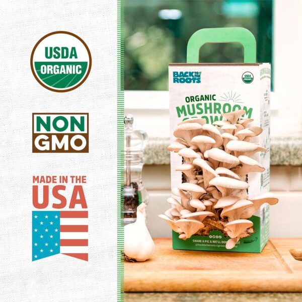 Back to the Roots Organic Oyster Mushroom Grow Kit, Harvest ...