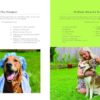 The Forever Dog Life: 120+ Recipes, Longevity Tips, and New ...