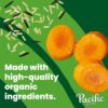 Pacific Foods Organic Chicken and Wild Rice Soup, 16.3 oz Ca...
